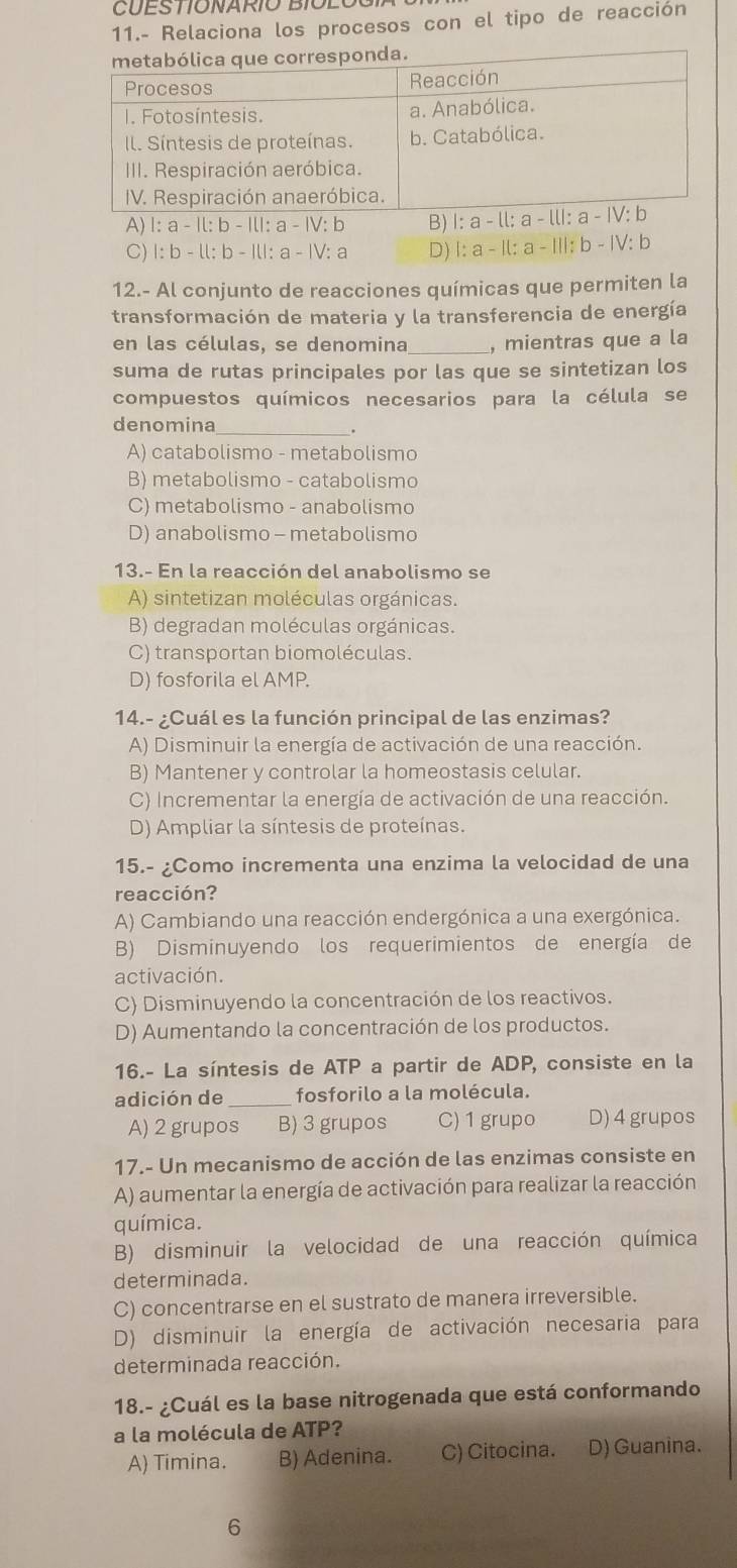 CUES TIONARIO BIOLO
11.- Relaciona los procesos con el tipo de reacción
A) 1:a-1l:b-1l:a-lV:b B)
C) :b -11:b-111:a-1V:a D) 1:a-|l:a-|||:b-|V:b
12.- Al conjunto de reacciones químicas que permiten la
transformación de materia y la transferencia de energía
en las células, se denomina_ , mientras que a la
suma de rutas principales por las que se sintetizan los
compuestos químicos necesarios para la célula se
denomina_
A) catabolismo - metabolismo
B) metabolismo - catabolismo
C) metabolismo - anabolismo
D) anabolismo - metabolismo
13.- En la reacción del anabolismo se
A) sintetizan moléculas orgánicas.
B) degradan moléculas orgánicas.
C) transportan biomoléculas.
D) fosforila el AMP.
14.- ¿Cuál es la función principal de las enzimas?
A) Disminuir la energía de activación de una reacción.
B) Mantener y controlar la homeostasis celular.
C) Incrementar la energía de activación de una reacción.
D) Ampliar la síntesis de proteínas.
15.- ¿Como incrementa una enzima la velocidad de una
reacción?
A) Cambiando una reacción endergónica a una exergónica.
B) Disminuyendo los requerimientos de energía de
activación.
C) Disminuyendo la concentración de los reactivos.
D) Aumentando la concentración de los productos.
16.- La síntesis de ATP a partir de ADP, consiste en la
adición de _fosforilo a la molécula.
A) 2 grupos B) 3 grupos C)1 grupo D) 4 grupos
17.- Un mecanismo de acción de las enzimas consiste en
A) aumentar la energía de activación para realizar la reacción
química.
B) disminuir la velocidad de una reacción química
determinada.
C) concentrarse en el sustrato de manera irreversible.
D) disminuir la energía de activación necesaria para
determinada reacción.
18.- ¿Cuál es la base nitrogenada que está conformando
a la molécula de ATP?
A) Timina. B) Adenina. C) Citocina. D) Guanina.
6