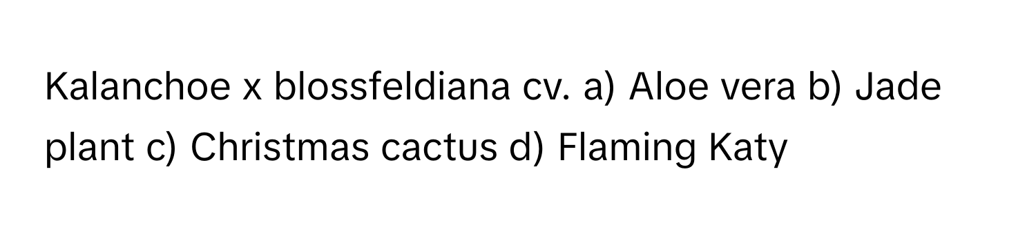 Kalanchoe x blossfeldiana cv.  a) Aloe vera b) Jade plant c) Christmas cactus d) Flaming Katy