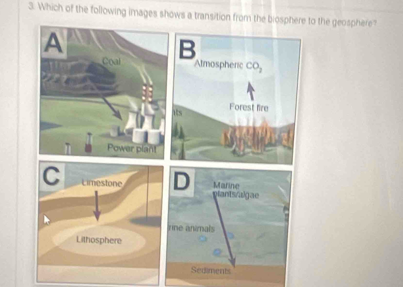 Solved: Which of the following images shows a transition from the ...