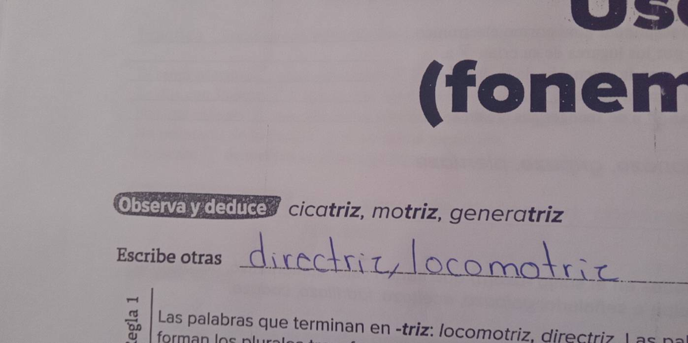 (fonem 
Observa y deduce cicatriz, motriz, generatriz 
_ 
Escribe otras 
Las palabras que terminan en -triz: locomotriz, directriz L as n