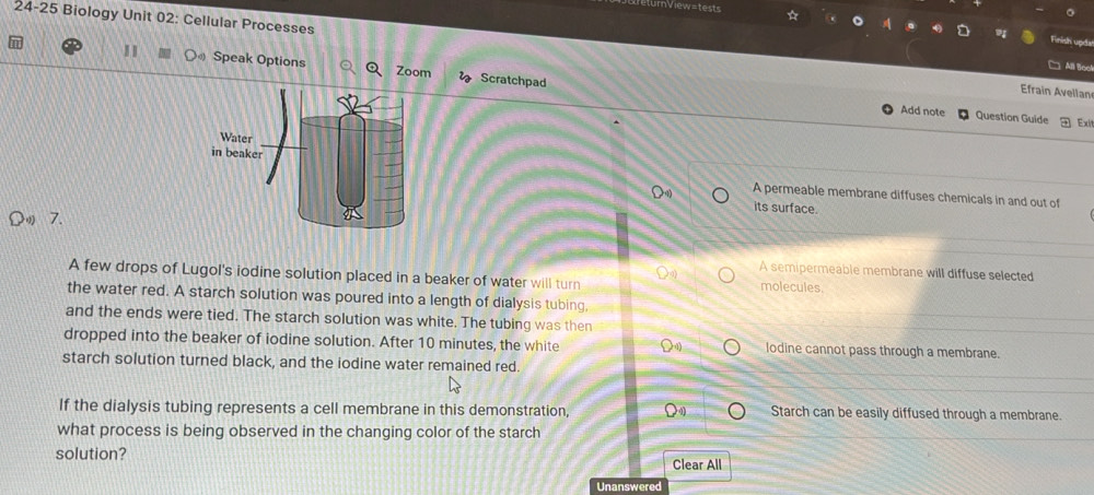 24-25 Biology Unit 02: Cellular Processes
Finish upda
All Boo!
Speak Options Zoom Scratchpad
Efrain Avellan
Add note Question Guide Exit
A permeable membrane diffuses chemicals in and out of
its surface.

A semipermeable membrane will diffuse selected
A few drops of Lugol's iodine solution placed in a beaker of water will turn molecules
the water red. A starch solution was poured into a length of dialysis tubing,
and the ends were tied. The starch solution was white. The tubing was then
dropped into the beaker of iodine solution. After 10 minutes, the white lodine cannot pass through a membrane.
starch solution turned black, and the iodine water remained red.
If the dialysis tubing represents a cell membrane in this demonstration, 4 Starch can be easily diffused through a membrane.
what process is being observed in the changing color of the starch
solution? Clear All
Unanswered