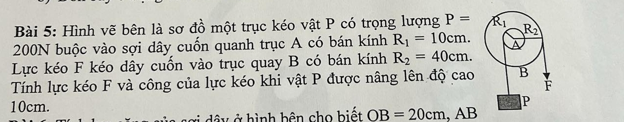 Hình vẽ bên là sơ đồ một trục kéo vật P có trọng lượng P=
200N buộc vào sợi dây cuốn quanh trục A có bán kính R_1=10cm.
Lực kéo F kéo dây cuốn vào trục quay B có bán kính R_2=40cm.
Tính lực kéo F và công của lực kéo khi vật P được nâng lên độ cao
10cm.
â y ở hình bên cho biết OB=20cm. , AB