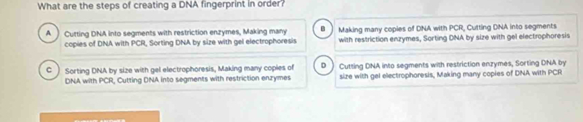 What are the steps of creating a DNA fingerprint in order?
A  Cutting DNA into segments with restriction enzymes, Making many B Making many copies of DNA with PCR, Cutting DNA into segments
copies of DNA with PCR, Sorting DNA by size with gel electrophoresis with restriction enzymes, Sorting DNA by size with gel electrophoresis
C ) Sorting DNA by size with gel electrophoresis, Making many copies of D ) Cutting DNA into segments with restriction enzymes, Sorting DNA by
DNA with PCR, Cutting DNA into segments with restriction enzymes size with gel electrophoresis, Making many copies of DNA with PCR