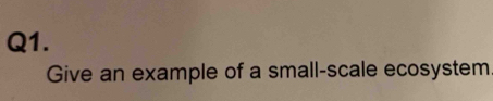 Give an example of a small-scale ecosystem