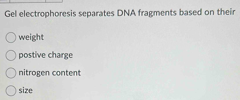 Gel electrophoresis separates DNA fragments based on their
weight
postive charge
nitrogen content
size