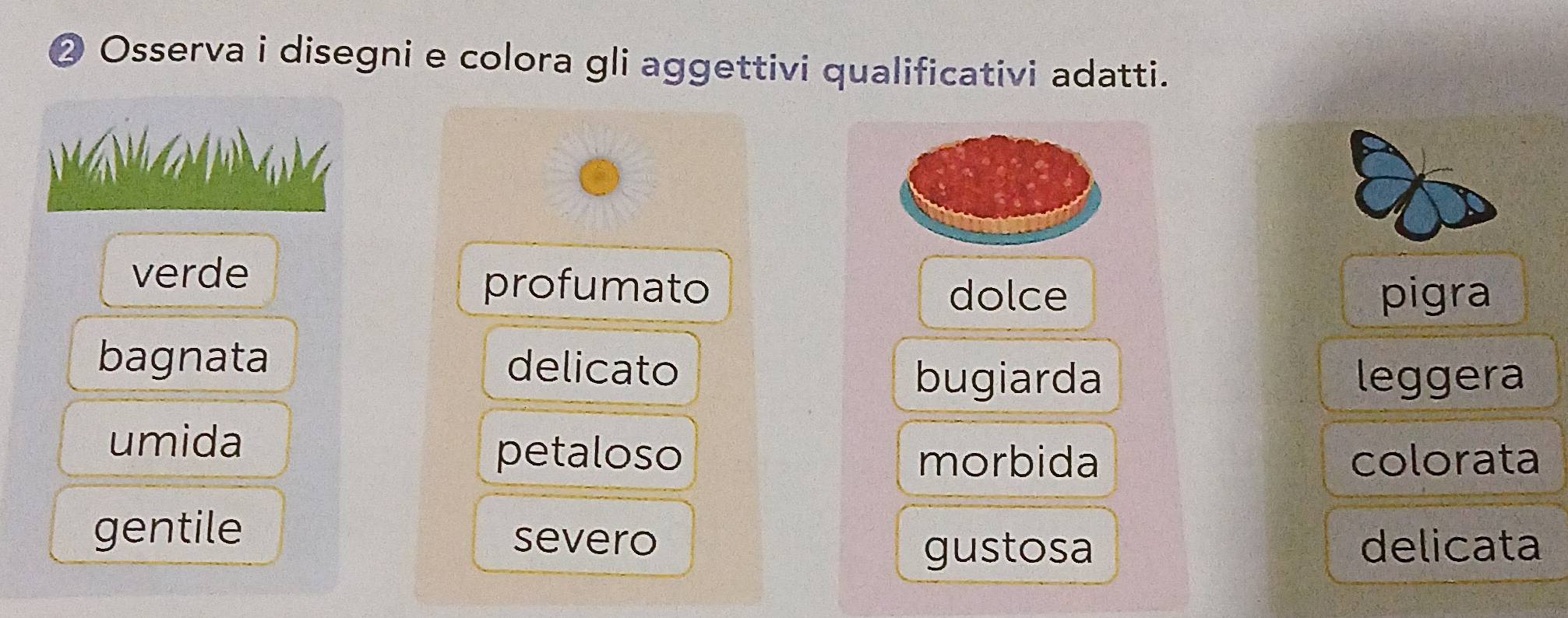 ② Osserva i disegni e colora gli aggettivi qualificativi adatti.
verde
profumato
dolce pigra
bagnata delicato
bugiarda leggera
umida
petaloso morbida colorata
gentile
severo delicata
gustosa