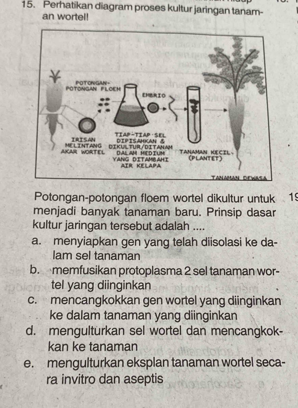 Perhatikan diagram proses kultur jaringan tanam-
an wortel!
Potongan-potongan floem wortel dikultur untuk 19
menjadi banyak tanaman baru. Prinsip dasar
kultur jaringan tersebut adalah ....
a. menyiapkan gen yang telah diisolasi ke da-
lam sel tanaman
b. memfusikan protoplasma 2 sel tanaman wor-
tel yang diinginkan
c. mencangkokkan gen wortel yang diinginkan
ke dalam tanaman yang diinginkan
d. mengulturkan sel wortel dan mencangkok-
kan ke tanaman
e. mengulturkan eksplan tanaman wortel seca-
ra invitro dan aseptis