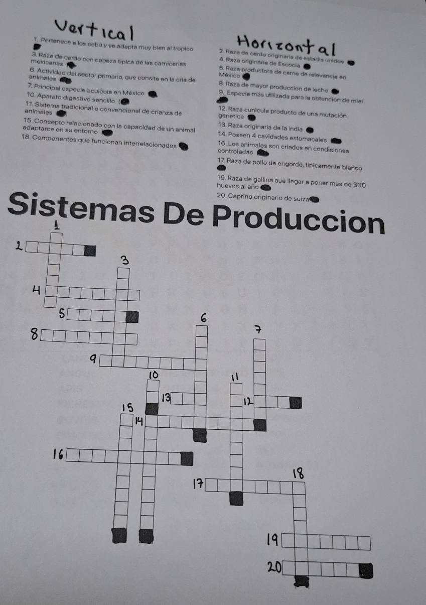 Vertical Horizontal
1. Pertenece a los cebú y se adapta muy bien al tropico 2. Raza de cerdo originaria de estádis unidos
4. Raza originaria de Escocia
mexicanas
3. Raza de cerdo con cabeza tipica de las carnicerías 5. Raza productora de carne de relevancía en
México
animales
6. Actividad del sector primario, que consite en la cría de 8. Raza de mayor produccion de leche
7. Principal especie aculcola en México
9. Especie más utilizada para la obtención de miel
10. Aparato digestivo sencillo 12. Raza cunicula producto de una mutación
11. Sistema tradicional o convencional de crianza de genetica
animales 13. Raza originaria de la India
15. Concepto relacionado con la capacidad de un animal 14. Poseen 4 cavidades estomacales
adaptarce en su entorno 16. Los animales son criados en condiciones
18. Componentes que funcionan interrelacionados controladas
17. Raza de pollo de engorde, tipicamente blanco
19. Raza de gallina aue llegar a poner mas de 300
huevos al año
20. Caprino originario de suiza
Sistemas De Produccion
1