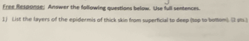 Free Response: Answer the following questions below. Use full sentences. 
1) List the layers of the epidermis of thick skin from superficial to deep (top to bottom). (2 pts.)