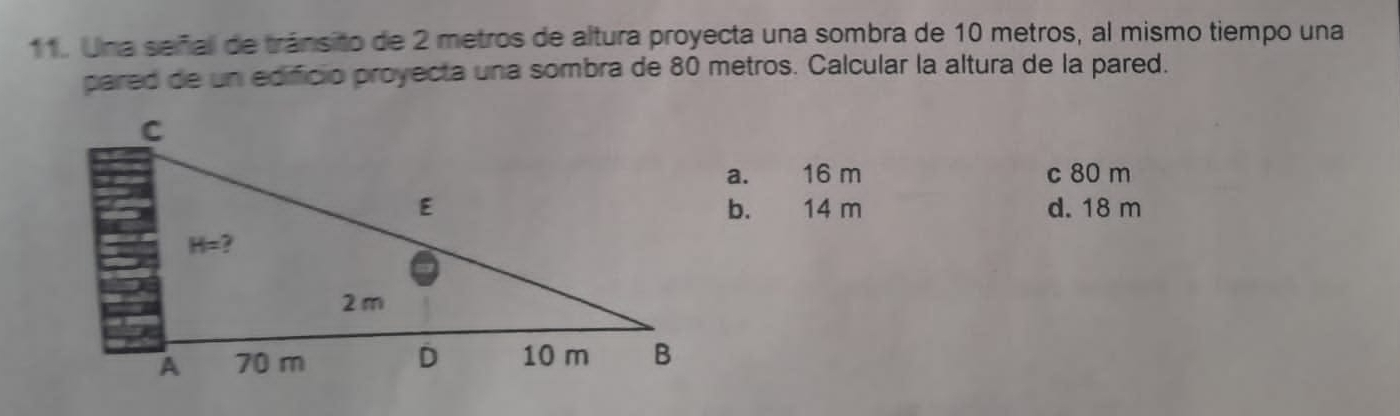 Una señall de tránsito de 2 metros de altura proyecta una sombra de 10 metros, al mismo tiempo una
pared de un edificio proyecta una sombra de 80 metros. Calcular la altura de la pared.
a. 16 m c 80 m
14 m d. 18 m
b.