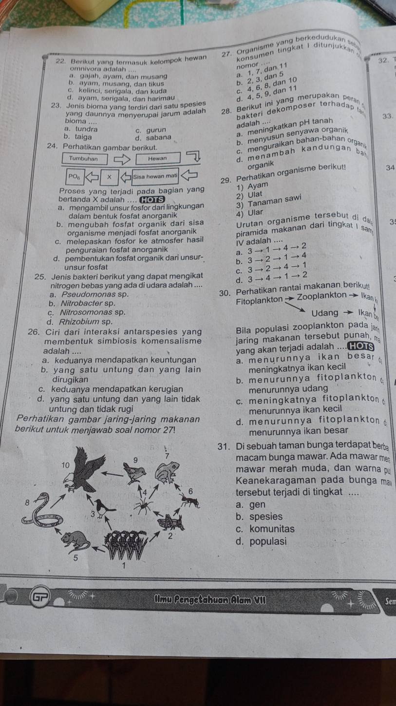 Organisme yang berkedudukan s
22. Berikut yang termasuk kelompok hewan konsumen tingkat I ditunjukkan 
32. 
omnivora adalah ....
b. ayam, musang, dan tikus
b. 2, 3, dan 5 a. 1, 7, dan 11 nomor .--
a. gajah, ayam, dan musang
c. kelinci, serigaia, dan kuda
c. 4, 6, 8, dan 10
d. ayam, serigala, dan harimau
d. 4, 5, 9, dan 11
23. Jenis bioma yang terdiri dari satu spesies
yang daunnya menyerupai jarum adalah 28. Berikut ini yang merupakan peran
bakteri dekomposer terhadap la
33.
bioma ....
adalah ....
a. tundra c. gurun
a.meningkatkan pH tanah
b. menyusun senyawa organik
b. taiga d. sabana
24. Perhatikan gambar berikut.
c. menguraikan bahan-bahan organ
Tumbuhan Hewan
d. menambah kandungan ba
organik
PO6 x  Sisa hewan mati
29. Perhatikan organisme berikut! 34
Proses yang terjadi pada bagian yang 1) Ayam
bertanda X adalah .... HOTS
2) Ulat
a. mengambil unsur fosfor dari lingkungan 3) Tanaman sawi
dalam bentuk fosfat anorganik
4) Ular
b. mengubah fosfat organik dari sisa  Urutan organisme tersebut di d 3
organisme menjadi fosfat anorganik piramida makanan dari tingkat I sam 
c. melepaskan fosfor ke atmosfer hasil iV adalah ....
penguraian fosfat anorganik 3to 1to 4to 2
a.
d. pembentukan fosfat organik dari unsur- b. 3to 2to 4to 1 3to 2to 1to 4
unsur fosfat
C.
25. Jenis bakteri berikut yang dapat mengikat d. 3to 4to 1to 2
nitrogen bebas yang ada di udara adalah ....
a. Pseudomonas sp.
30. Perhatikan rantai makanan berikut!
b. Nitrobacter sp.
Fitoplankton  Zooplankton → Ikan
c. Nitrosomonas sp. Udang Ikan be
d. Rhizobium sp.
26. Ciri dari interaksi antarspesies yang Bila populasi zooplankton pada ja
membentuk simbiosis komensalisme jaring makanan tersebut punah 
adalah ....
a. keduanya mendapatkan keuntungan yang akan terjadi adalah .... HOTs
a. menurunnya ikan besar 
b. yang satu untung dan yang lain meningkatnya ikan kecil
dirugikan b. menurunnya fitoplankton 
c. keduanya mendapatkan kerugian menurunnya udang
d. yang satu untung dan yang lain tidak c. meningkatnya fitoplankton 
untung dan tidak rugi menurunnya ikan kecil
Perhatikan gambar jaring-jaring makanan  d. menurunnya fitoplankton 
berikut untuk menjawab soal nomor 27!
menurunnya ikan besar
31. Di sebuah taman bunga terdapat berba
macam bunga mawar. Ada mawar me:
mawar merah muda, dan warna p
Keanekaragaman pada bunga ma
tersebut terjadi di tingkat ....
a. gen
b. spesies
c. komunitas
d. populasi
Ilmu Pengetahuan Alam VII Sem