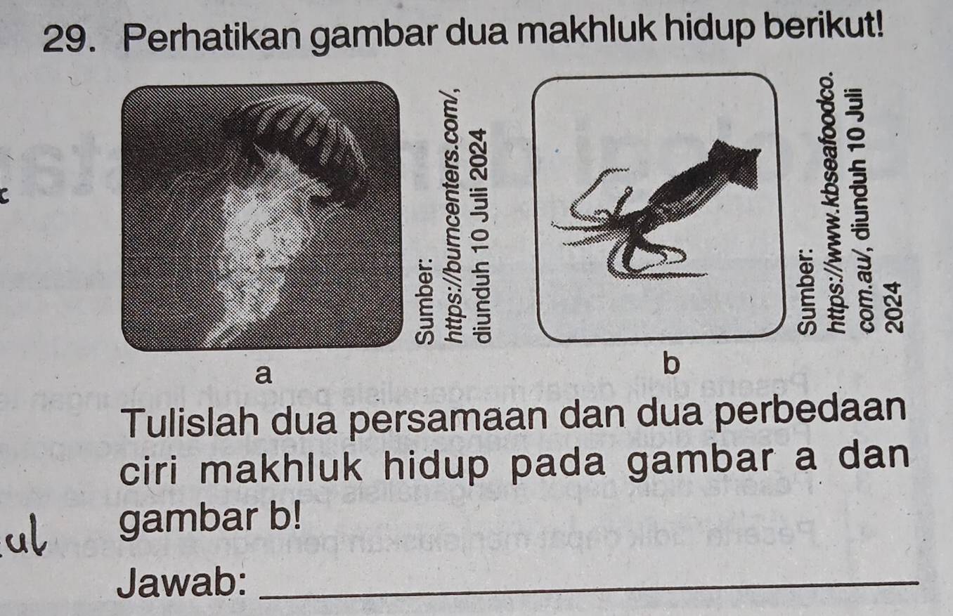 Perhatikan gambar dua makhluk hidup berikut!
8 。
8
a 
Tulislah dua persamaan dan dua perbedaan 
ciri makhluk hidup pada gambar a dan 
gambar b! 
Jawab:_