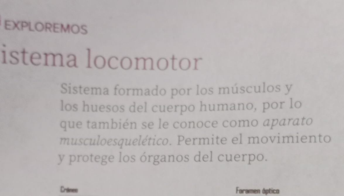 EXPLOREMOS 
istema locomotor 
Sistema formado por los músculos y 
los huesos del cuerpo humano, por lo 
que también se le conoce como aparato 
musculoesquelético. Permite el movimiento 
y protege los órganos del cuerpo. 
Cráneo Foramen óptico