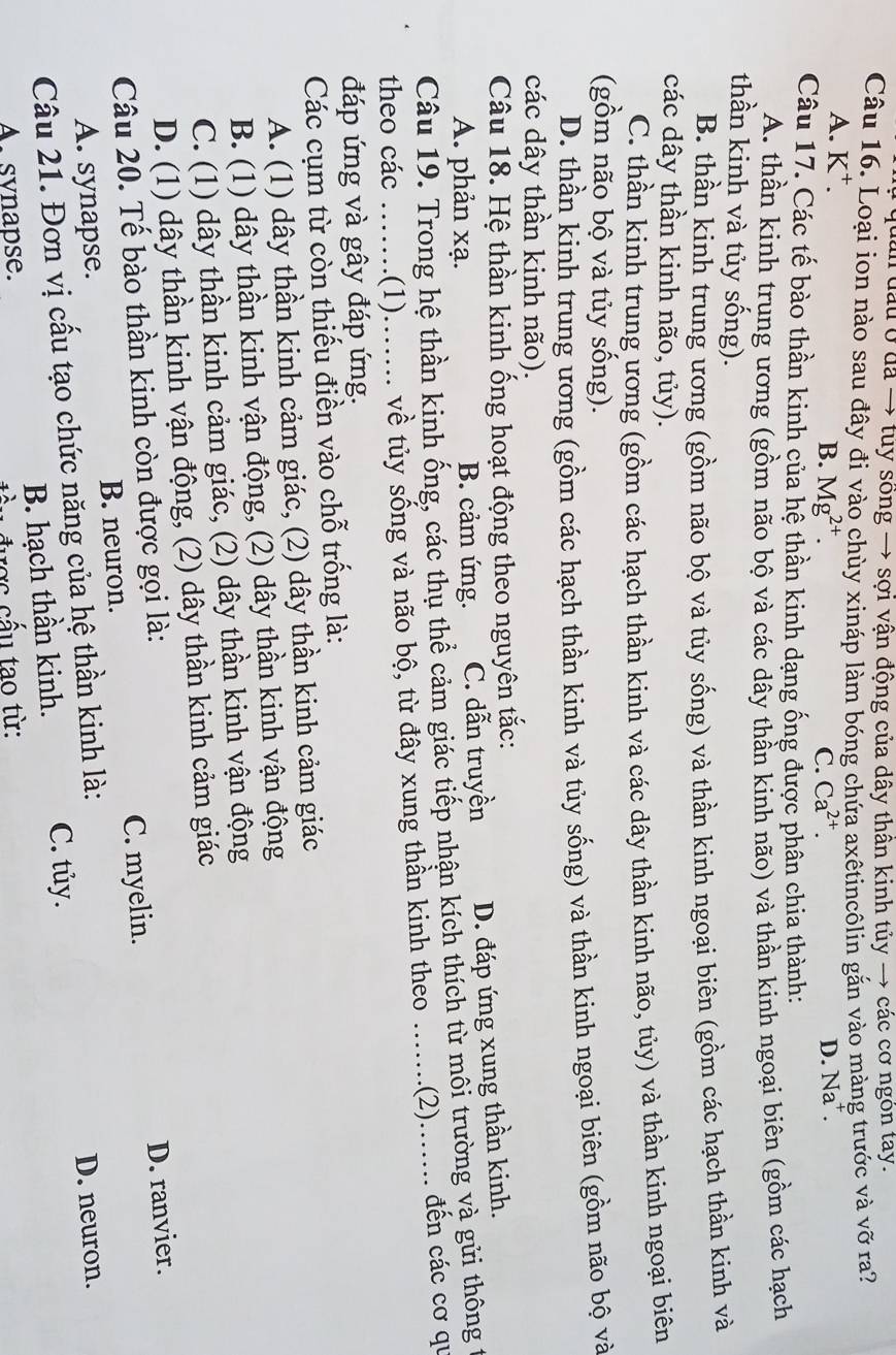 quan đầu ở đã → túy sông → sợi vận động của dây thân kinh tủy → các cơ ngôn tay.
Câu 16. Loại ion nào sau đây đi vào chùy xináp làm bóng chứa axêtincôlin gắn vào màng trước và vỡ ra?
A. K^+.
B. Mg^(2+). C. Ca^(2+). D. Na^+.
Câu 17. Các tế bào thần kinh của hệ thần kinh dạng ống được phân chia thành:
A. thần kinh trung ương (gồm não bộ và các dây thần kinh não) và thần kinh ngoại biên (gồm các hạch
thần kinh và tủy sống).
B. thần kinh trung ương (gồm não bộ và tủy sống) và thần kinh ngoại biên (gồm các hạch thần kinh và
các dây thần kinh não, tủy).
C. thần kinh trung ương (gồm các hạch thần kinh và các dây thần kinh não, tủy) và thần kinh ngoại biên
(gồm não bộ và tủy sống).
D. thần kinh trung ương (gồm các hạch thần kinh và tủy sống) và thần kinh ngoại biên (gồm não bộ và
các dây thần kinh não).
Câu 18. Hệ thần kinh ống hoạt động theo nguyên tắc:
A. phản xạ. B. cảm ứng. C. dẫn truyền D. đáp ứng xung thần kinh.
Câu 19. Trong hệ thần kinh ống, các thụ thể cảm giác tiếp nhận kích thích từ môi trường và gửi thông t
theo các ... (1)……_  về tủy sống và não bộ, từ đây xung thần kinh theo ....... .(2)…….. đến các cơ qu
đáp ứng và gây đáp ứng.
Các cụm từ còn thiếu điền vào chỗ trống là:
A. (1) dây thần kinh cảm giác, (2) dây thần kinh cảm giác
B. (1) dây thần kinh vận động, (2) dây thần kinh vận động
C. (1) dây thần kinh cảm giác, (2) dây thần kinh vận động
D. (1) dây thần kinh vận động, (2) dây thần kinh cảm giác
Câu 20. Tế bào thần kinh còn được gọi là:
A. synapse. B. neuron. C. myelin. D. ranvier.
Câu 21. Đơn vị cầu tạo chức năng của hệ thần kinh là:
D. neuron.
B. hạch thần kinh. C. tủy.
A. synapse.
đầu được cấu tạo từ: