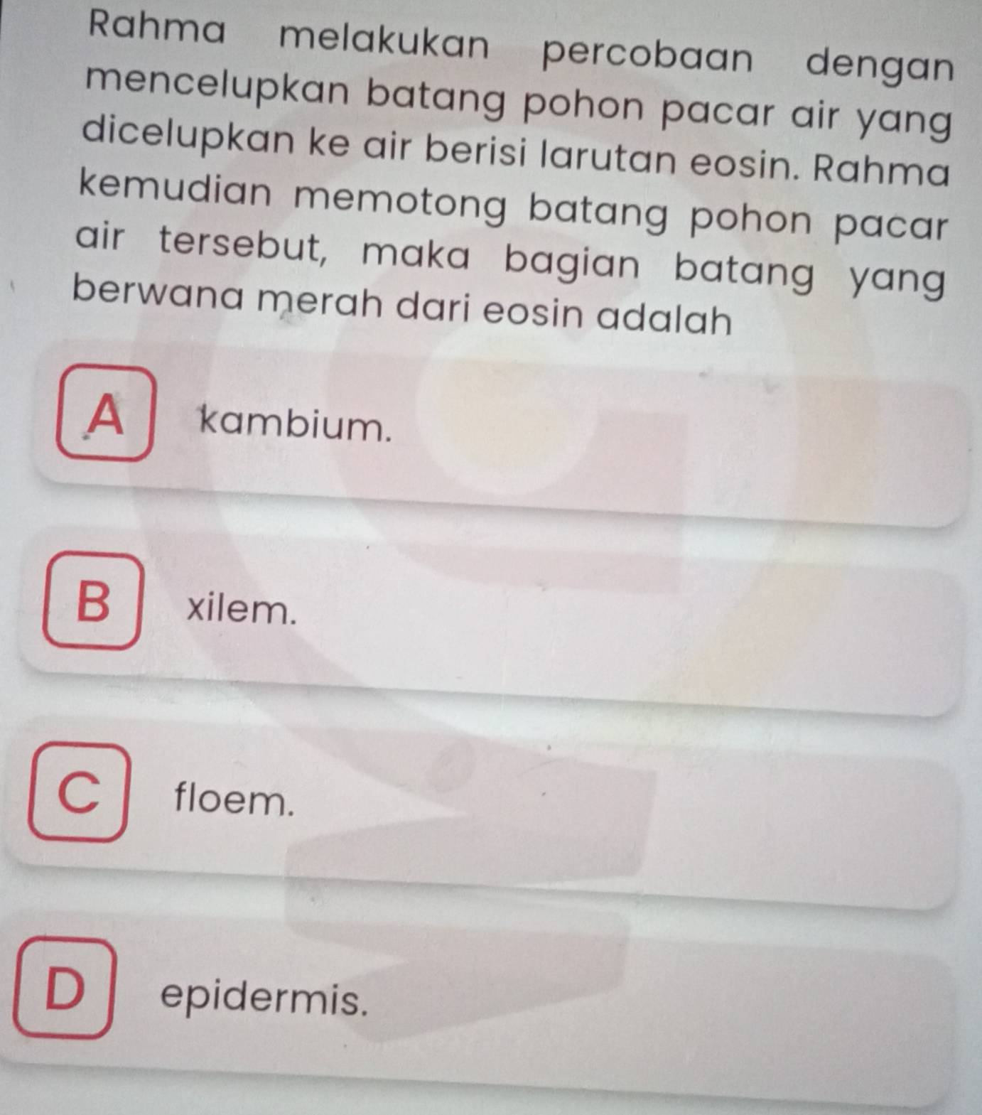 Rahma melakukan percobaan dengan
mencelupkan batang pohon pacar air yang 
dicelupkan ke air berisi larutan eosin. Rahma
kemudian memotong batang pohon pacar .
air tersebut, maka bagian batang yang
berwana merah dari eosin adalah
A kambium.
B xilem.
Cfloem.
D epidermis.