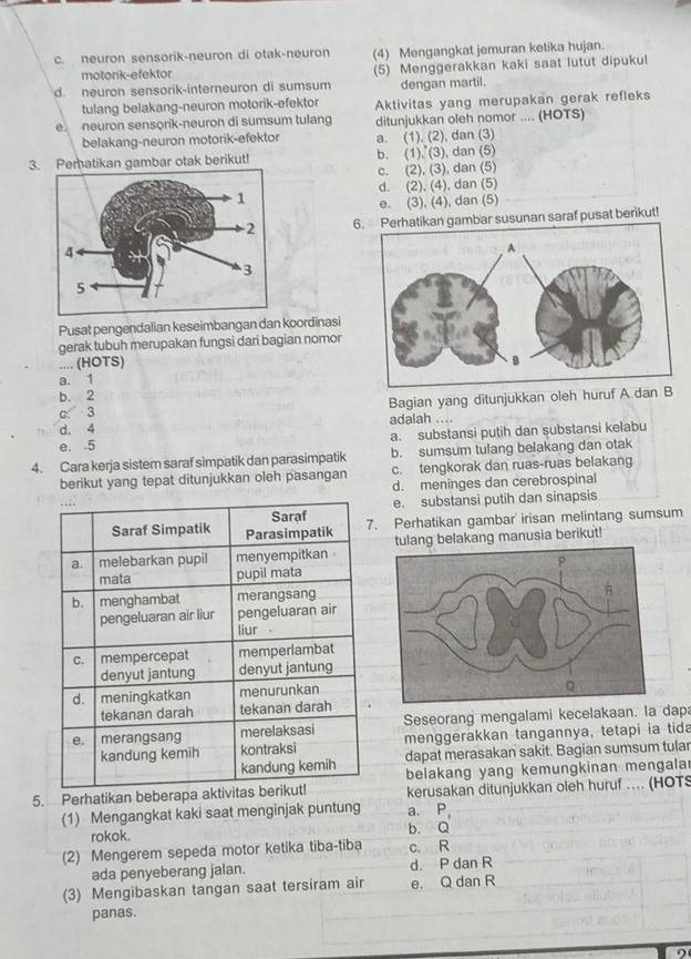 c. neuron sensorik-neuron di otak-neuron (4) Mengangkat jemuran ketika hujan.
motonk-efektor
d. neuron sensorik-interneuron di sumsum (5) Menggerakkan kaki saat lutut dipukul
dengan martil.
tulang belakang-neuron motorik-efektor
e neuron sensorik-neuron di sumsum tulang Aktivitas yang merupakan gerak refleks
ditunjukkan oleh nomor .... (HOTS)
belakang-neuron motorik-efektor a. (1), (2), dan (3)
3. Pematikan gambar otak berikut! b. (1), (3), dan (5)
c. (2), (3), dan (5)
d. (2), (4), dan (5)
e. (3), (4), dan (5)
6. Perhatikan gambar susunan saraf pusat berikut!
Pusat pengendalian keseimbangan dan koordinasi
gerak tubuh merupakan fungsi dari bagian nomor
.... (HOTS)
a. 1
b. 2
c. 3 Bagian yang ditunjukkan oleh huruf A d
d. 4 adalah ....
e. 5 a. substansi putih dan substansi kelabu
4. Cara kerja sistem saraf simpatik dan parasimpatik b. sumsum tulang belakang dan otak
berikut yang tepat ditunjukkan oleh pasangan c. tengkorak dan ruas-ruas belakang
d. meninges dan cerebrospinal
e. substansi putih dan sinapsis
. Perhatikan gambar irisan melintang sumsum
tulang belakang manusia berikut!
Seseorang mengalami kecelakaan. la dap
menggerakkan tangannya, tetapi ia tida
dapat merasakan sakit. Bagian sumsum tular
5. Perhatikan beberapa akbelakang yang kemungkinan mengala
kerusakan ditunjukkan oleh huruf ... (HOTS
(1) Mengangkat kaki saat menginjak puntung a. P_1
rokok.
b. O
(2) Mengerem sepeda motor ketika tiba-tiba c. R
ada penyeberang jalan. d. P dan R
(3) Mengibaskan tangan saat tersiram air e. Q dan R
panas.