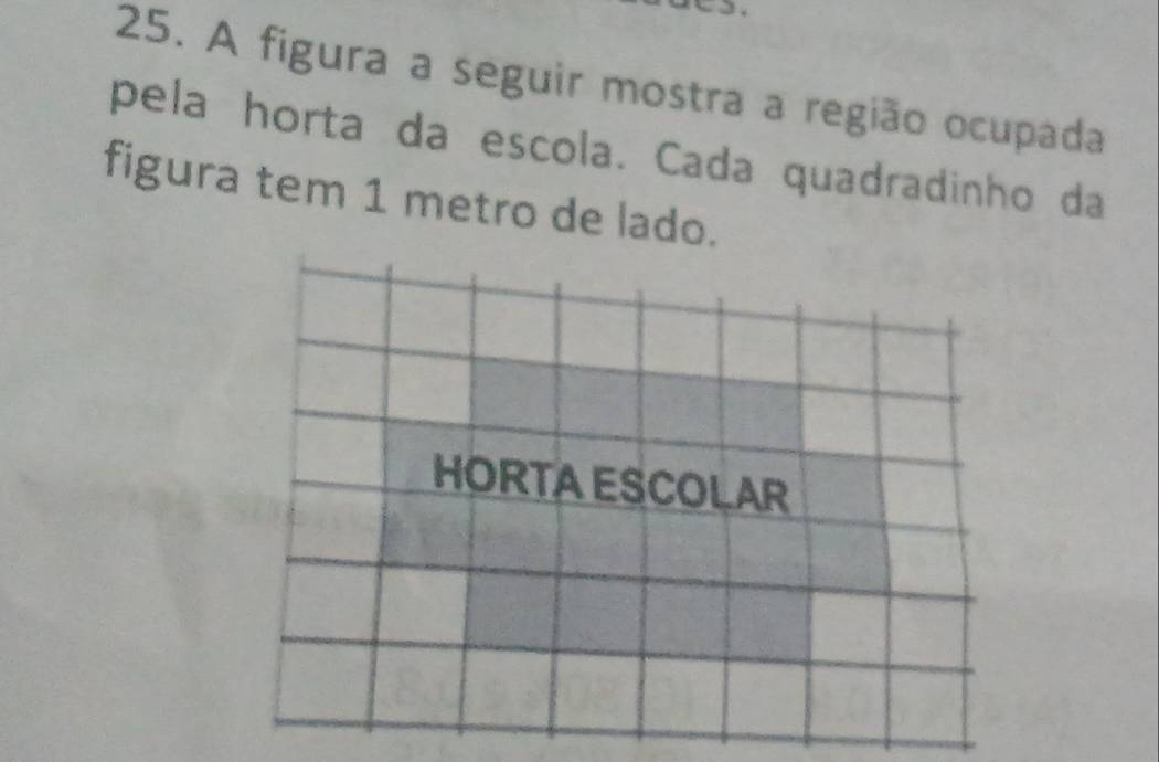 A figura a seguir mostra a região ocupada 
pela horta da escola. Cada quadradinho da 
figura tem 1 metro de lado. 
HORTA ESCOLAR