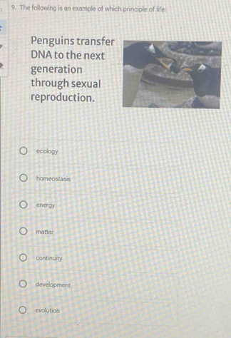 The following is an example of which principle of life:
Penguins transfer
DNA to the next
generation
through sexual
reproduction.
ecology
homeostasis
energy
matter
continuity
development
evolution