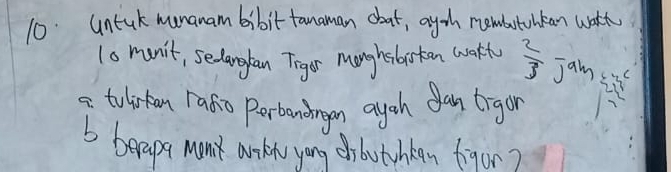 untuk munanam bibit tanaman cbat, ayth nembutuhkan wath 
1o munit, sedangan Tigor Manghsbsten warkt  2/3  jan 
a tulirton rafo porbandagon ayah an trigor 
b beape mank aikets yong chboutuhbean figor?