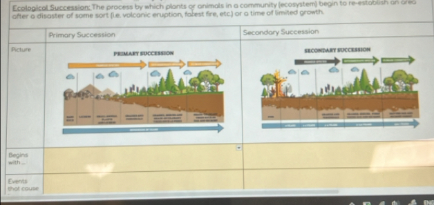 Ecological Succession: The process by which plants or animals in a community (ecosystem) begin to re-establish an area 
after a disaster of some sort (i.e. volcanic eruption, falest fire, etc.) or a time of limited growth. 
Primary Succession Secondary Succession 
Picture 
Begins 
with ... 
Events 
that cause