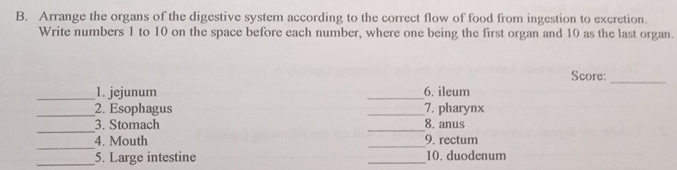 Arrange the organs of the digestive system according to the correct flow of food from ingestion to excretion. 
Write numbers 1 to 10 on the space before each number, where one being the first organ and 10 as the last organ. 
Score:_ 
_1. jejunum _6. ileum 
_2. Esophagus _7. pharynx 
_ 
3. Stomach _8, anus 
_ 
_ 
4. Mouth 9. rectum 
_5. Large intestine _10. duodenum