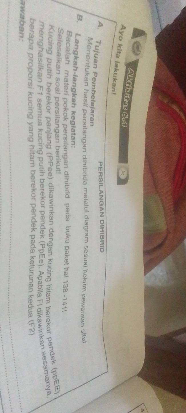 Aktivitas 6.4 
Ayo kita lakukan! 
PERSILANGAN DIHIBRID 
A. Tujuan Pembelajaran 
Menentukan hasil persilangan dihibrida melalui diagram sesuai hokum pewarisan sifat 
B. Langkah-langkah kegiatan: 
Bacalah materi pokok persilangan dIhibrid pada buku paket hal 138 -141! 
Selesaikan soal persilangan berikut! 
Kucing putih berekor panjang (PPee) dikawinkan dengan kucing hitam berekor pendek (ppEE) 
menghasilkan F1 semua kucing putih berekor pendek (PpEe). Apabila Fl dikawinkan sesamanya, 
berapa proporsi kucing yang hitam berekor pendek pada keturunan kedua (F2) 
awaban: