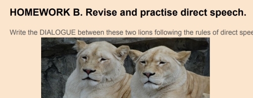 HOMEWORK B. Revise and practise direct speech. 
Write the DIALOGUE between these two lions following the rules of direct spee