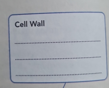 Cell Wall 
_ 
_ 
_