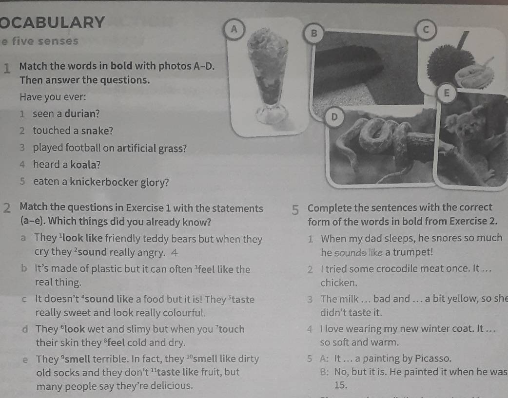 OCABULARY
e five senses
1 Match the words in bold with photos A-
Then answer the questions.
Have you ever:
1 seen a durian?
2 touched a snake?
3 played football on artificial grass?
4 heard a koala?
5 eaten a knickerbocker glory?
2 Match the questions in Exercise 1 with the statements 5 Complete the sentences with the correct
(a-e). Which things did you already know? form of the words in bold from Exercise 2.
a They ¹look like friendly teddy bears but when they 1 When my dad sleeps, he snores so much
cry they ?sound really angry. 4 he sounds like a trumpet!
b It’s made of plastic but it can often ³feel like the 2 I tried some crocodile meat once. It ..
real thing. chicken.
c It doesn’t ‘sound like a food but it is! They ⁵taste 3 The milk ... bad and . a bit yellow, so she
really sweet and look really colourful. didn’t taste it.
d They flook wet and slimy but when you ’touch 4 I love wearing my new winter coat. It .. .
their skin they ³feel cold and dry. so soft and warm.
e They äsmell terrible. In fact, they ¹smell like dirty 5 A: It .. . a painting by Picasso.
old socks and they don’t ¹'taste like fruit, but B: No, but it is. He painted it when he was
many people say they’re delicious. 15.