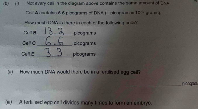 Solved: Not every cell in the diagram above contains the same amount of ...