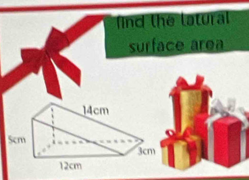 find the latural 
surface area