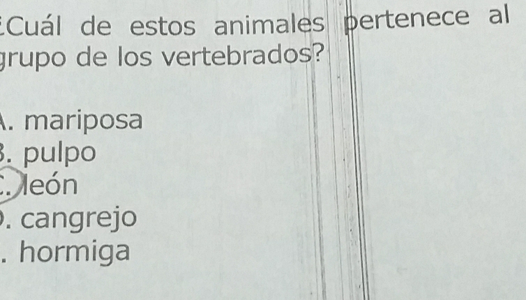 ¿Cuál de estos animales pertenece al
grupo de los vertebrados?. mariposa. pulpo. león. cangrejo. hormiga