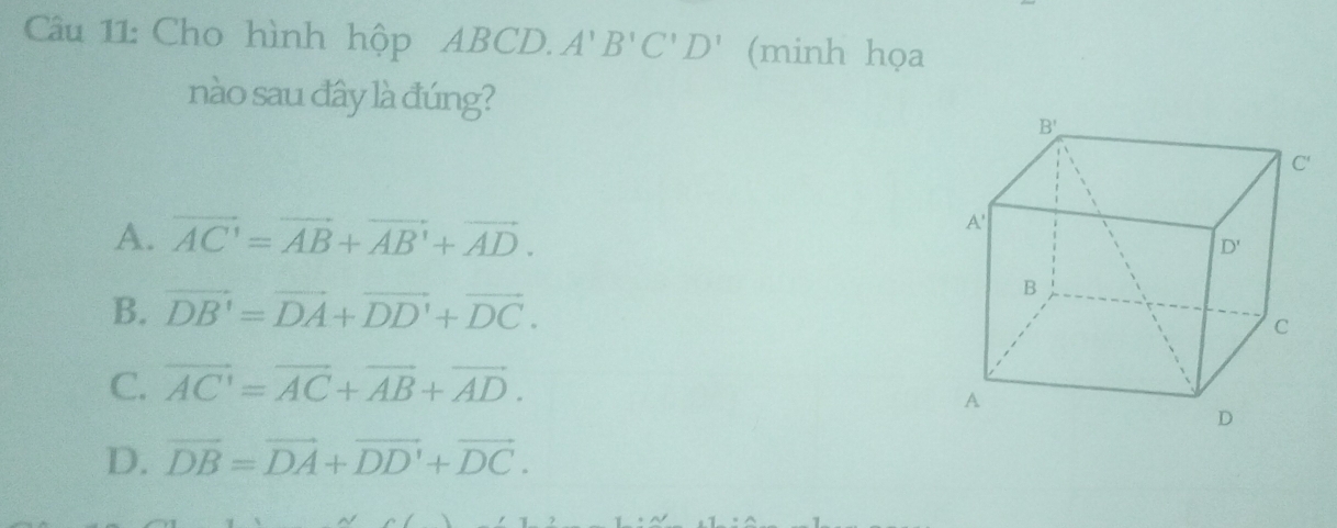 Cho hình hộp ABCD. A'B'C'D' (minh họa
nào sau đây là đúng?
A. vector AC'=vector AB+vector AB'+vector AD.
B. vector DB'=vector DA+vector DD'+vector DC.
C. vector AC'=vector AC+vector AB+vector AD.
D. vector DB=vector DA+vector DD'+vector DC.