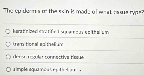 The epidermis of the skin is made of what tissue type?
keratinized stratifed squamous epithelium
transitional epithelium
dense regular connective tissue
simple squamous epithelium .