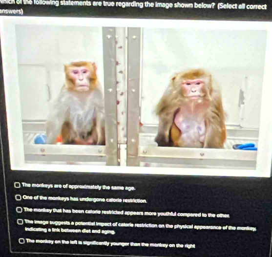 which of the following statements are true regarding the image shown below? (Select all correct
answers)
The monkeys are of approximately the same age.
One of the monkeys has undergone calorie restriction.
The monkey that has been calorie restricted appears more youthful compared to the other
The image suggests a potential impect of calorie restriction on the physical appearance of the monkey;
indicating a link between diet and aging.
The monkey on the left is significantly younger than the mankey on the right