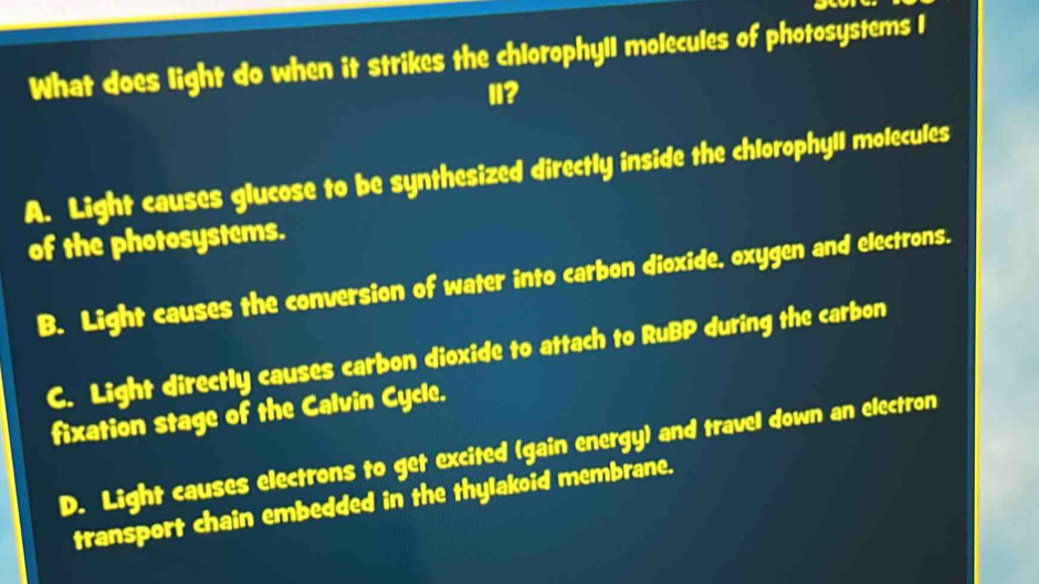 What does light do when it strikes the chlorophyll molecules of photosystems 1
1?
A. Light causes glucose to be synthesized directly inside the chlorophyll molecules
of the photosystems.
B. Light causes the conversion of water into carbon dioxide, oxygen and electrons.
C. Light directly causes carbon dioxide to attach to RuBP during the carbon
fixation stage of the Calvin Cycle.
D. Light causes electrons to get excited (gain energy) and travel down an electron
transport chain embedded in the thylakoid membrane.