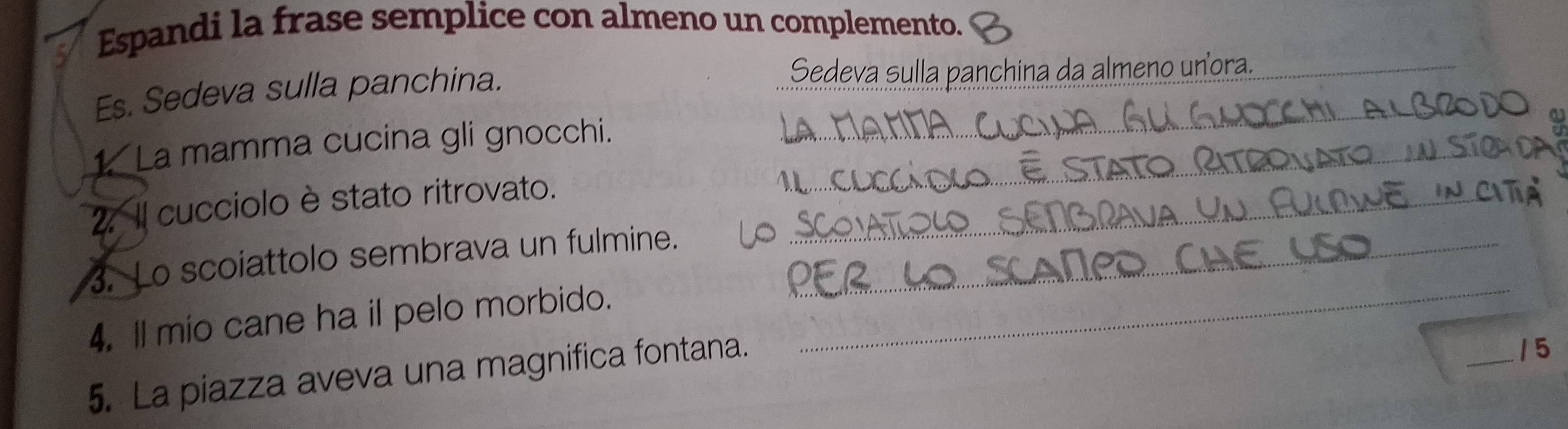 Espandi la frase semplice con almeno un complemento. 
_ 
Es. Sedeva sulla panchina. Sedeva sulla panchina da almeno unora._ 
_ 
1 La mamma cucina gli gnocchi. 
2. Il cucciolo è stato ritrovato._ 
_ 
3. Lo scoiattolo sembrava un fulmine._ 
4. ll mio cane ha il pelo morbido. 
5. La piazza aveva una magnifica fontana. 
_1 5