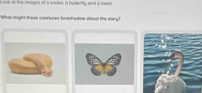 Look at the images of a snake, a butterfly and a swan. 
What might these creatures foreshadow about the story?