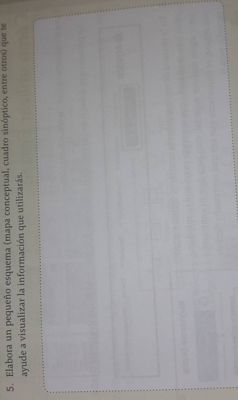 Elabora un pequeño esquema (mapa conceptual, cuadro sinóptico, entre otros) que te 
ayude a visualizar la información que utilizarás.