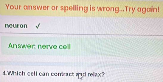 Your answer or spelling is wrong...Try again! 
neuron 
Answer: nerve cell 
4.Which cell can contract and relax?