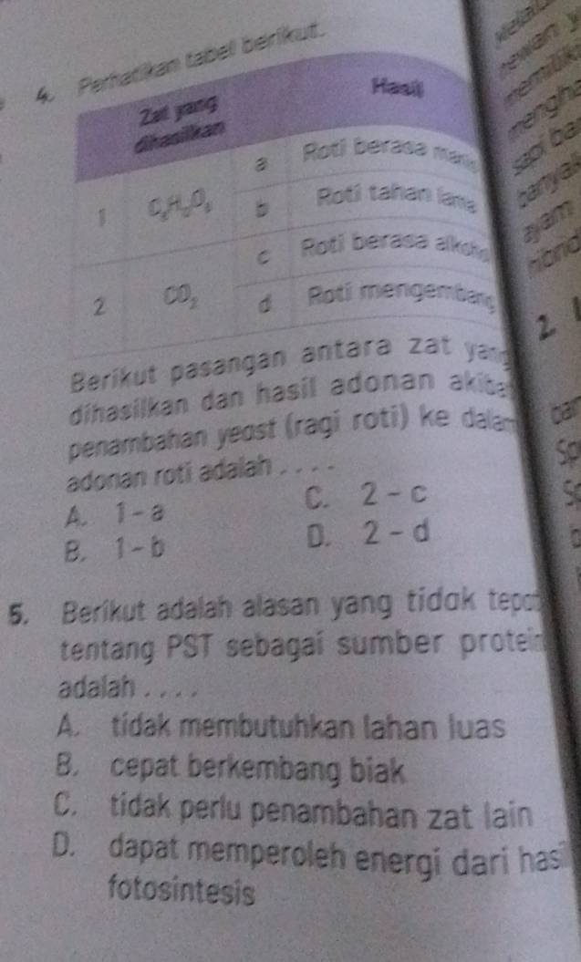 er
ikut.
ngh
lba
anyal
am
Hord
2
Berikut pa
dihasilkan dan hasil adonan akiba 
penambahan yeɑst (ragi roti) ke dalam barl
adonan roti adalah . . . .
so
A. 1-a
C. 2-c
D.
B. 1-b 2-d
5. Berikut adalah alasan yang tidɑk tepo
tentang PST sebagaí sumber protein
adalah . . . .
A.tídak membutuhkan lahan luas
B. cepat berkembang biak
C. tidak perlu penambahan zat lain
D. dapat memperoleh energi dari hasil
fotosintesis