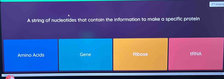 2^(nd) Attemp
A string of nucleotides that contain the information to make a specific protein
Amino Acids Gene Ribose tRNA
a