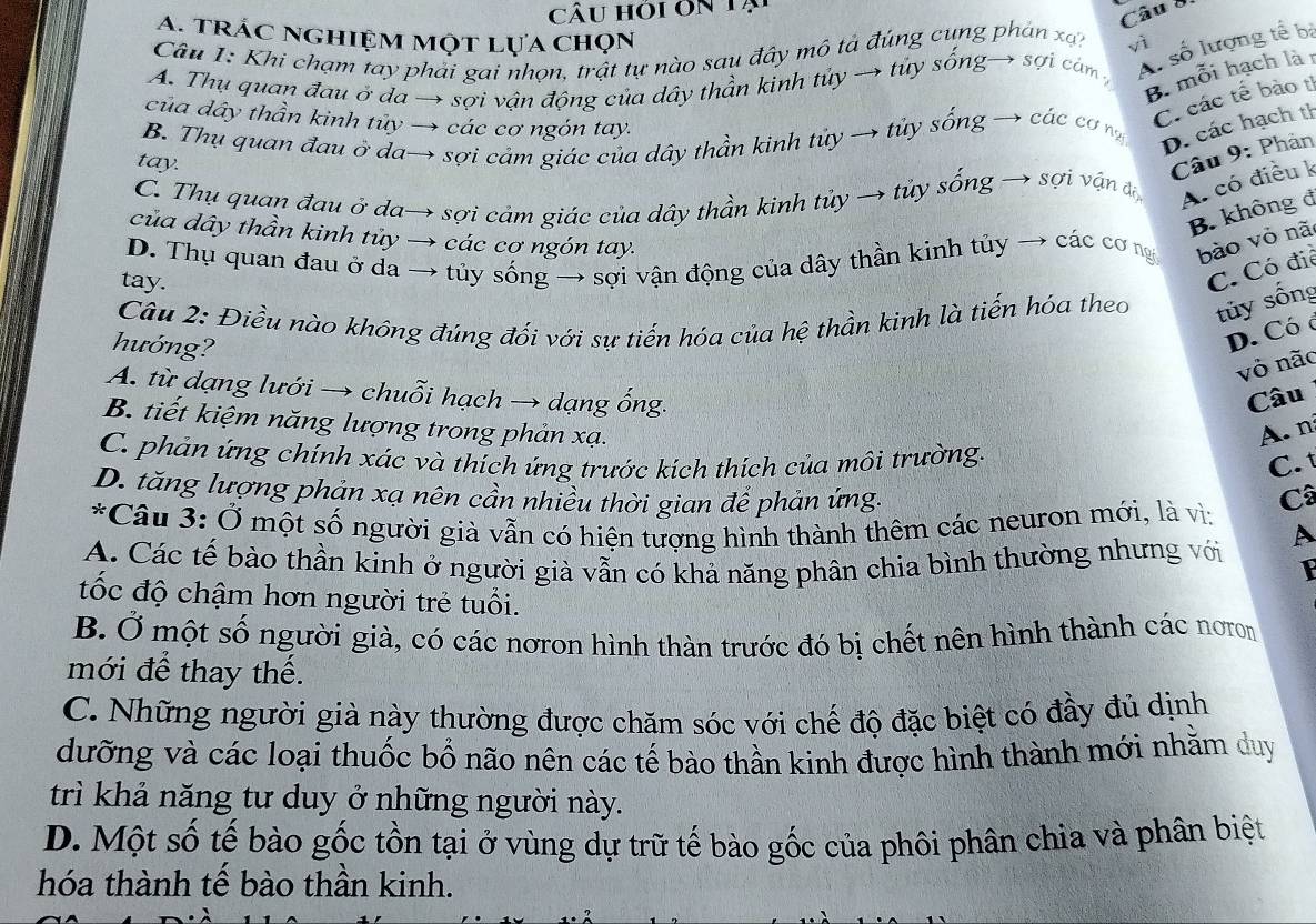 âu hói ôn Tại
Câu 8
A. trác nghiệm một lựa chọn
A. số lượng tế bà
Câu 1: Khi chạm tay phải gai nhọn, trật tự nào sau đây mô tả đúng cung phán xạ? vì
A. Thụ quan đau ở da → sợi vận động của dây thần kinh tủy → tủy sống→ sợi cảm y
B. mỗi hạch làr
của dây thần kinh tủy → các cơ ngón tay.
C. các tế bào tỉ
B. Thụ quan đau ở da→ sợi cảm giác của dây thần kinh tủy → tủy sống → các cơ n
D. các hạch th
tay.
Câu 9: Phân
C. Thụ quan đau ở da→ sợi cám giác của dây thần kinh tủy → tủy sống → sợi vận đị A. có điều k
B. không đ
của dây thần kinh tủy → các cơ ngón tay.
D. Thụ quan đau ở da → tủy sống → sợi vận động của dây thần kinh tủy → các cơ ng bào vỏ nã
tay.
C. Có điể
Câu 2: Điều nào khóng đúng đối với sự tiến hóa của hệ thần kinh là tiến hóa theo tủy sống
hướng?
D. Có c
vỏ não
A. từ dạng lưới → chuỗi hạch → dạng ống. Câu
B. tiết kiệm năng lượng trong phản xạ.
A. n
C. phản ứng chính xác và thích ứng trước kích thịch của môi trường.
C.
D. tăng lượng phản xạ nên cần nhiều thời gian để phản ứng. Câ
*Câu 3: Ở một số người già vẫn có hiện tượng hình thành thêm các neuron mới, là vì:
A
A. Các tế bào thần kinh ở người già vẫn có khả năng phân chia bình thường nhưng với
tốc độ chậm hơn người trẻ tuổi.
B. Ở một số người già, có các nơron hình thàn trước đó bị chết nên hình thành các nơron
mới để thay thế.
C. Những người già này thường được chăm sóc với chế độ đặc biệt có đầy đủ dịnh
dưỡng và các loại thuốc bổ não nên các tế bào thần kinh được hình thành mới nhằm duy
trì khả năng tư duy ở những người này.
D. Một số tế bào gốc tồn tại ở vùng dự trữ tế bào gốc của phôi phân chia và phân biệt
hóa thành tế bào thần kinh.