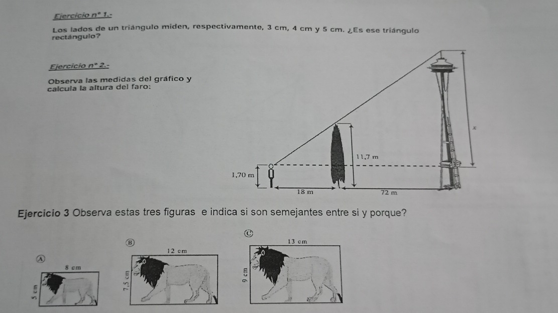 Ejercício n° 1. - 
Los lados de un triángulo miden, respectivamente, 3 cm, 4 cm y 5 cm. ¿Es ese triángulo 
rectángulo? 
Ejercicio n°2
Observa las medidas del gráfico y 
calcula la altura del faro:
x
11.7 m
1,70 m
18 m 72 m
Ejercicio 3 Observa estas tres figuras e indica si son semejantes entre si y porque?
13 cm
λ
8 cm