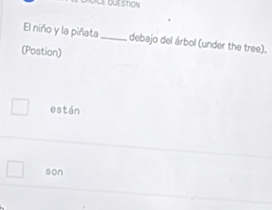 QUESTION 
El niño y la piñata _debajo del árbol (under the tree). 
(Postion) 
están 
son