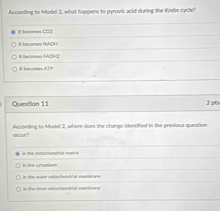 According to Model 2, what happens to pyruvic acid during the Krebs cycle?
It becames CO2
It becomes NADH
It becomes FADH2
It becomes ATP
Question 11 2 pts
According to Model 2, where does the change identified in the previous question
occur?
in the mitochondrial matrix
in the cytoplasm
in the outer mitochondrial membrane
in the inner mitochondrial membrane