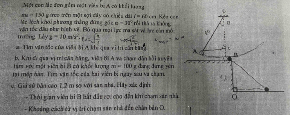 Một con lắc đơn gồm một viên bi A có khối lượng
m_0=150g treo trên một sợi dây có chiều dài I=60cm. Kéo con 
lắc lệch khỏi phương thắng đứng góc alpha =30° rồi thà ra không 
vận tốc đầu như hình vẽ. Bỏ qua mọi lực ma sát và lực cản môi 
trường. Lấy g=10m/s^2. 
a. Tìm vận tốc của viên bì A khỉ qua vị trí cần bằng. 
b. Khi đỉ qua vị trí cân bằng, viên bi A va chạm đàn hồi xuyển 
tâm với một viên bi B có khổi lượng m=100g đang đứng yên 
tại mép bàn. Tìm vận tốc của hai viên bị ngay sau va chạm. 
c. Giả sử bản cao 1,2 m so với sản nhà. Hãy xác định: 
- Thời gian viên bỉ B bắt đầu rơi cho đến khi chạm sản nhà. 
- Khoảng cách từ vị trí chạm sản nhà đến chân bản O.