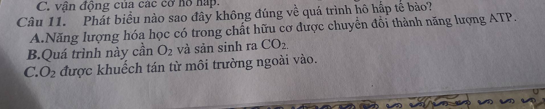 C. vận động của các cơ hỏ háp.
Câu 11. Phát biểu nào sao đây không đúng về quá trình hô hấp tế bào?
A.Năng lượng hóa học có trong chất hữu cơ được chuyền đổi thành năng lượng ATP.
B.Quá trình này cần O_2 và sản sinh ra CO_2.
C. O_2 được khuếch tán từ môi trường ngoài vào.