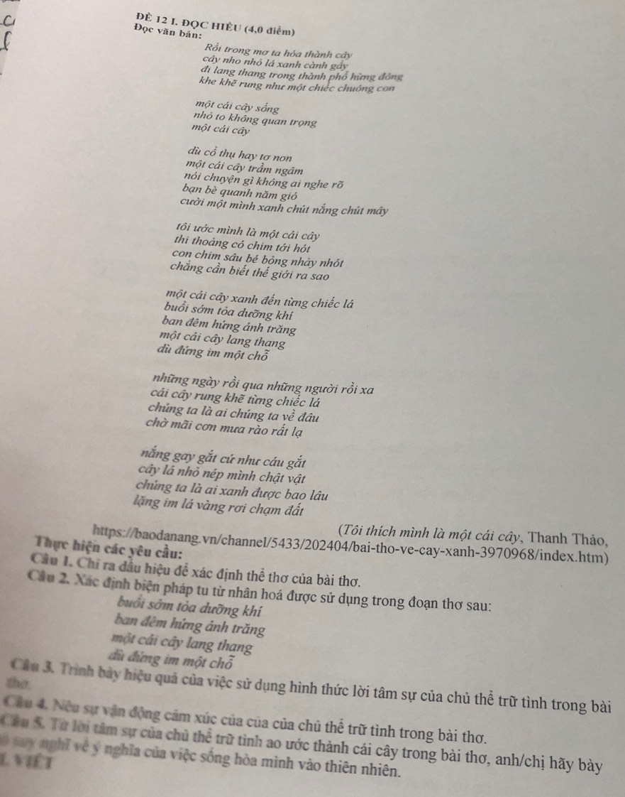ĐÈ 12 I. ĐQC HIÈU (4,0 điểm)
Đọc văn bản:
Rồi trong mơ ta hóa thành cây
cây nho nhỏ lá xanh cành gảy
đi lang thang trong thành phố hững đồng
khe khẽ rung như một chiếc chuống con
một cái cây sống
nhỏ to không quan trọng
một cái cây
dù cổ thụ hay tơ non
một cái cây trầm ngâm
nói chuyện gì không ai nghe rõ
bạn bè quanh năm gió
cười một mình xanh chút nắng chút mây
tôi ước mình là một cái cây
thì thoảng có chim tới hót
con chim sâu bé bỏng nhảy nhót
chẳng cần biết thế giới ra sao
một cái cây xanh đến từng chiếc lá
buổi sớm tỏa dưỡng khí
ban đêm hứng ánh trăng
một cái cây lang thang
dù đứng im một chỗ
những ngày rồi qua những người rồi xa
cái cây rung khẽ từng chiếc lá
chúng ta là ai chúng ta về đâu
chờ mãi cơn mưa rào rất lạ
nắng gay gắt cứ như cáu gắt
cây lá nhỏ nép mình chật vật
chủng ta là ai xanh được bao lâu
lặng im lá vàng rơi chạm đất
(Tôi thích mình là một cái cây, Thanh Thảo,
https://baodanang.vn/channel/5433/202404/bai-tho-ve-cay-xanh-3970968/index.htm)
Thực hiện các yêu cầu:
Câu I. Chỉ ra đầu hiệu để xác định thể thơ của bài thơ.
Câu 2. Xác định biện pháp tu từ nhân hoá được sử dụng trong đoạn thơ sau:
buổi sớm tỏa dưỡng khí
ban đêm hứng ánh trăng
một cải cây lang thang
đù đứng im một c 2=
the.
Cầu 3. Trình bảy hiệu quả của việc sử dụng hình thức lời tâm sự của chủ thể trữ tình trong bài
Cầu 4. Nều sự vận động cảm xúc của của của chủ thể trữ tình trong bài thơ.
Cầu S. Từ lời tâm sự của chủ thể trữ tinh ao ước thành cái cây trong bài thơ, anh/chị hãy bày
0 say nghĩ về ý nghĩa của việc sống hòa mình vào thiên nhiên.
L VIêt