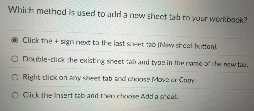 Solved: Which method is used to add a new sheet tab to your workbook ...